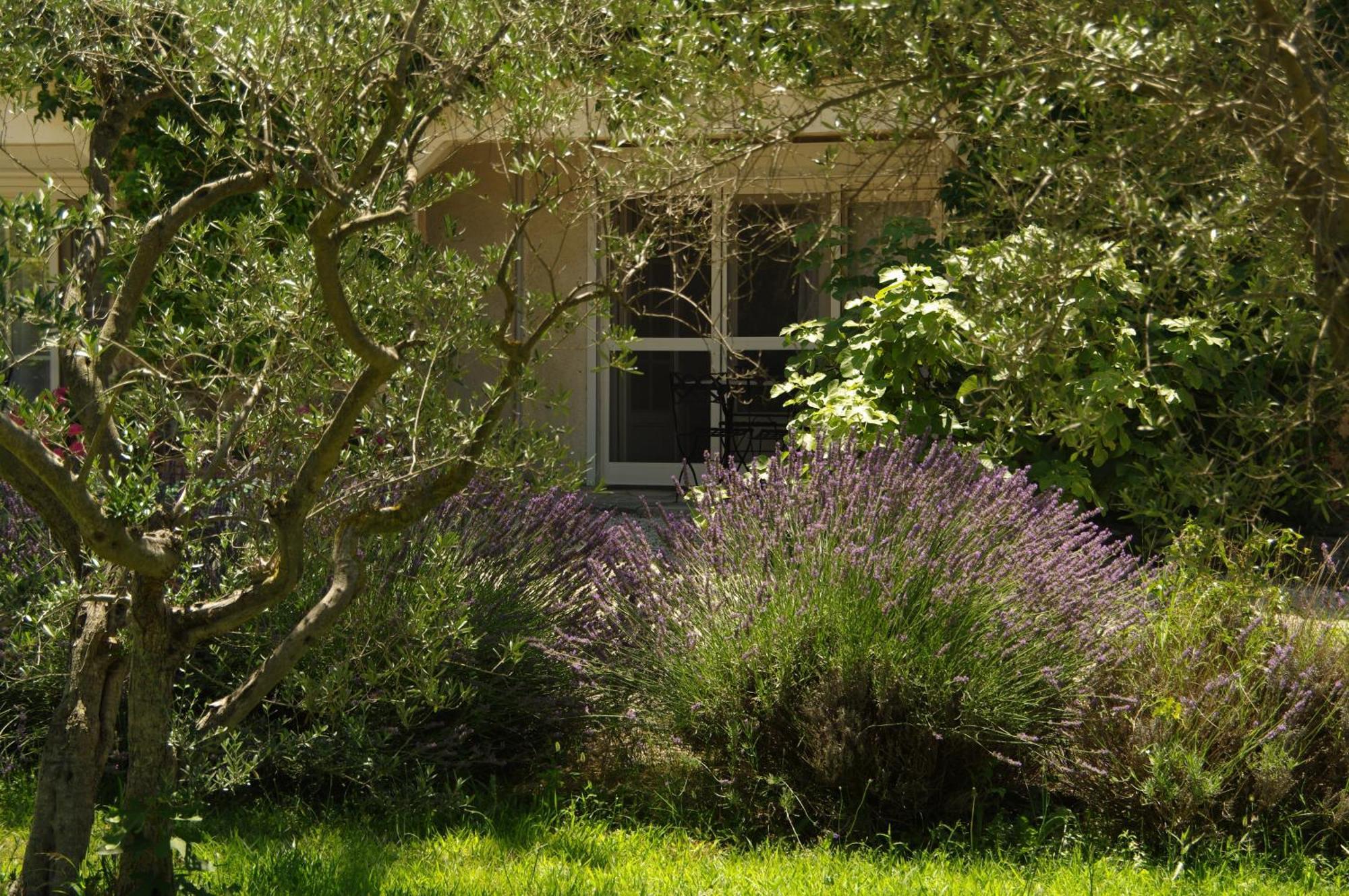 Le Saint Victor